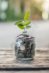 关心生长筹资和节省金概念与种植树的商业企合作进步图片