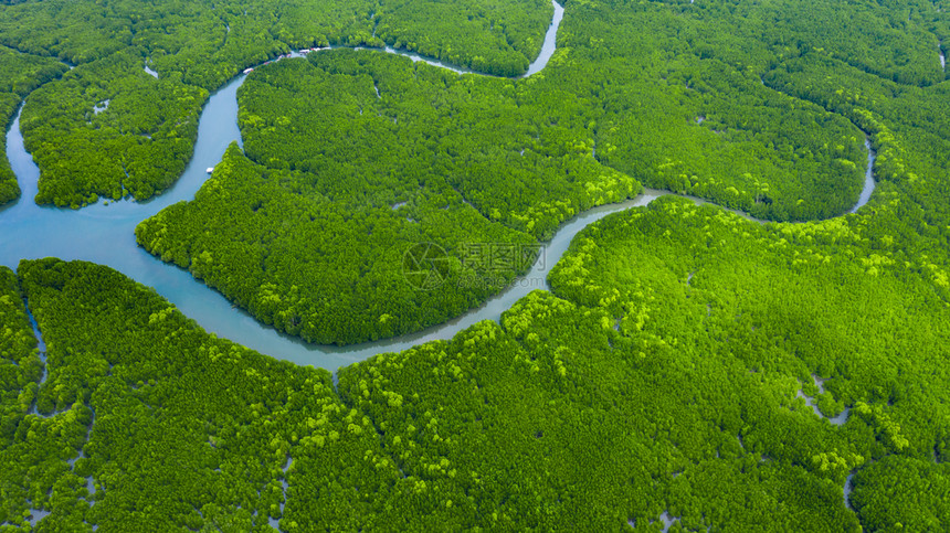 美丽环境浏览泰国红树林热带绿森林顶部风景的河流树木红林和地貌天线图片