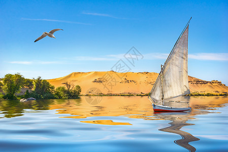 贡格尔草原飞行尼罗河上海鸥阿斯旺格尔帆船和翅膀天际线设计图片