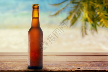 在海边的啤酒瓶凉爽冰液体图片