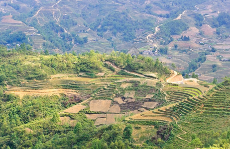 传统越南萨帕绿稻田村庄曲线绿色高清图片素材