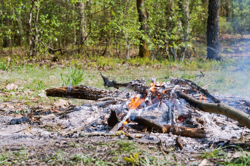 篝火黑暗的营燃烧木头残骸森林中燃烧的火森林中燃烧的火木头残骸图片