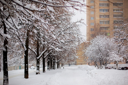 自然暴风雪后的城市冬季景观雪地背暴风后的城市冬季景观户外天空图片