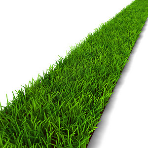 花间小路夏天以白色背景孤立的绿草3D图示说明植物途径设计图片