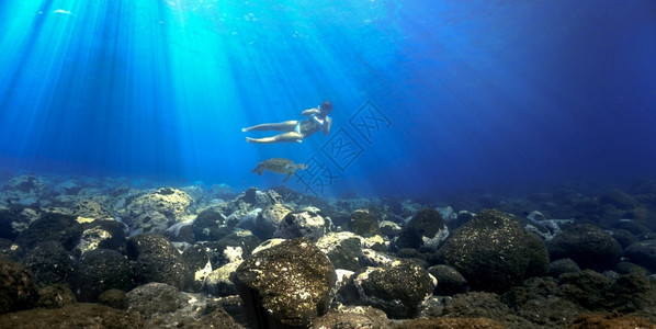 光束射线感的游泳女孩和海龟在礁石上闪耀着光芒阳光高清图片素材