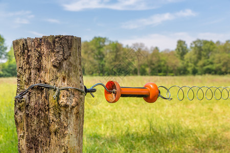 农村草地杆带把手电围栏乡村的威慑舍内维尔图片