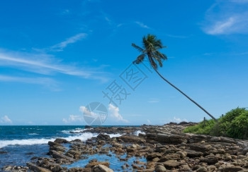 多岩石的老热带岩石海滩椰子棕榈树落基点丹噶勒斯里兰卡南部省亚洲锡兰图片