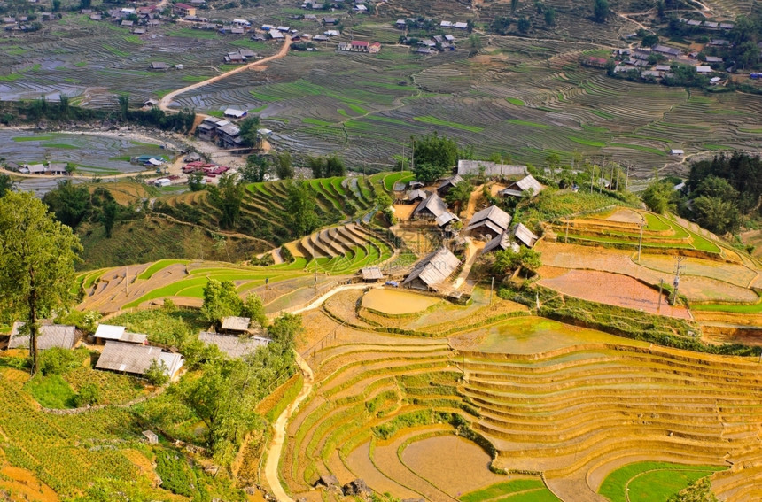 种植园户外山越南萨帕的稻田梯和Hmong少数民族村图片