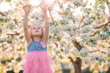 樱桃可爱的小女孩在盛开的苹果花园美丽的春日天可爱女孩在盛开苹果树花园享受温暖的一天闻香气开花高清图片素材