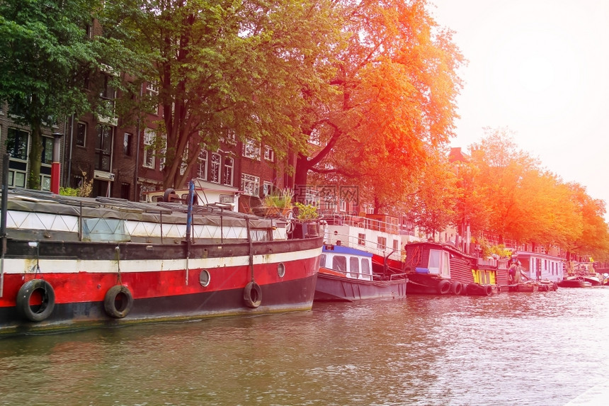 结构体荷兰阿姆斯特丹一条运河上的船城市堤图片
