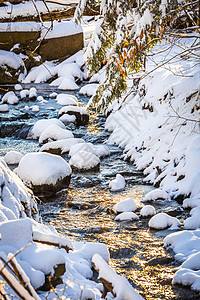 下雪的在森林早晨日出的冬天小河春时间在森林早晨日出的冬天小河美丽季图片