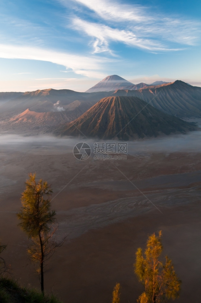 树风景印度尼西亚爪哇岛的GunungBromo火山地质学图片