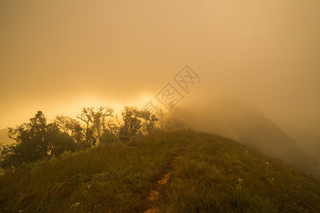 天空太阳山丘日出和雾高的图片