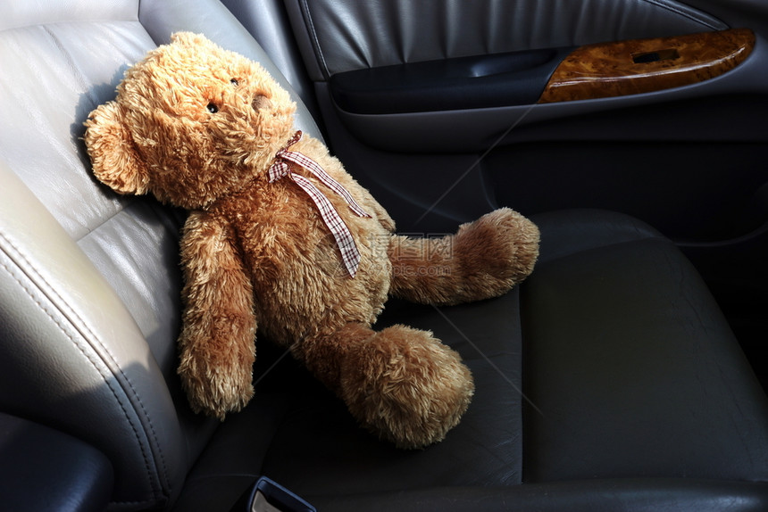事故寂寞的泰迪熊在我车里感觉自然礼物图片