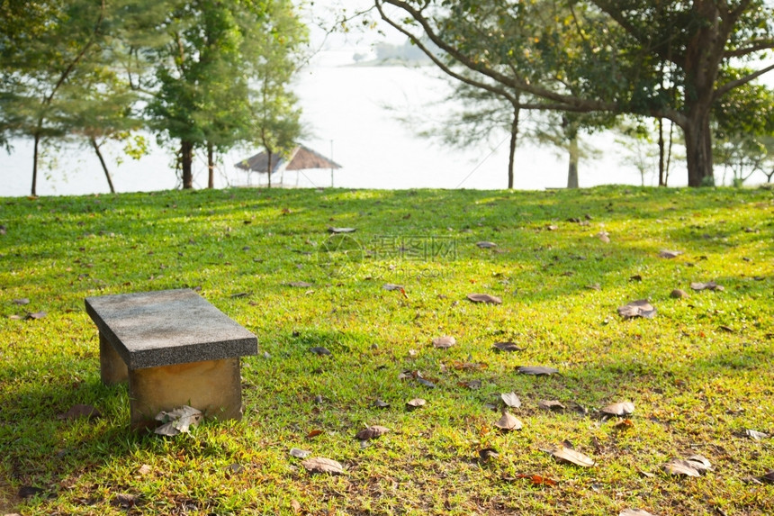 木头松弛公园露天气氛中草坪的座椅早晨图片