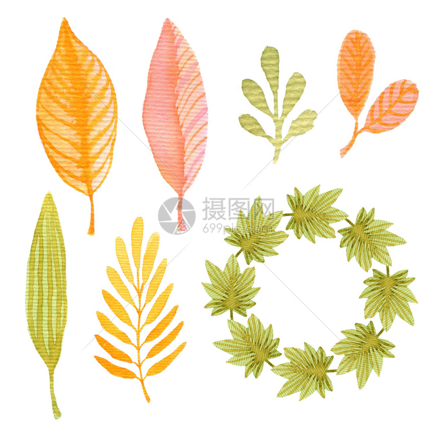 树叶花瓣水彩秋季装饰配有包设计叶和框架的装饰或请柬卡水彩秋季装饰配有包设计或邀请卡的花颜色秋季装饰绿图片