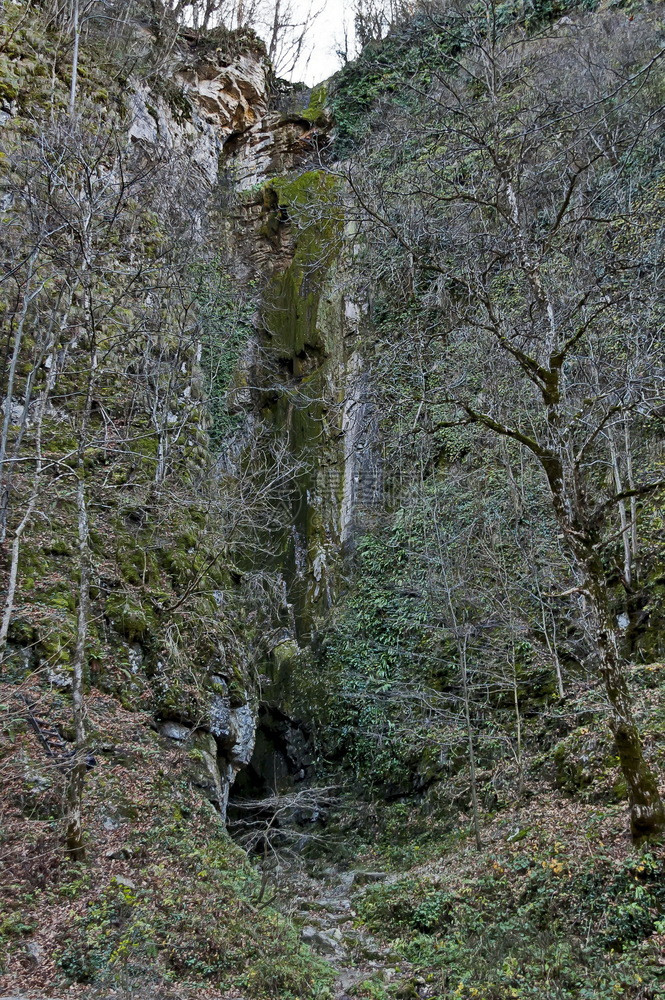 溅对浅水瀑布Praskaloto或保加利亚Teteven镇附近中巴尔干Kozniza河喷洒情况的一般看法木头或者图片