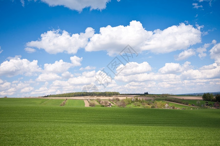 风景优美春天的农田景观白色土地图片