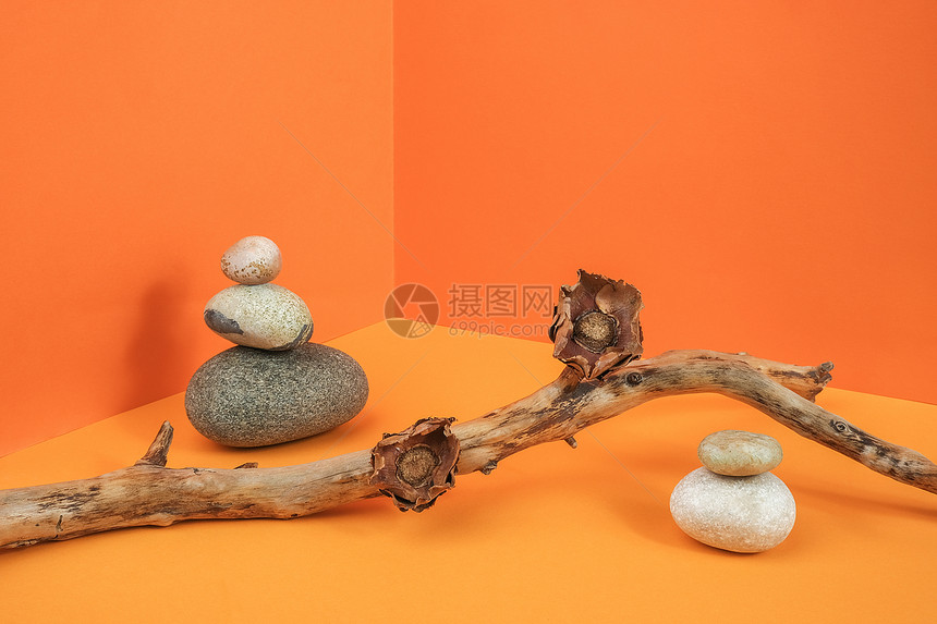 生长一种岩石由树枝干花和橙色背景上的石头组成创意自然布局时尚前视图组合由树枝干花和橙色背景上的石头组成创意自然布局图片