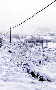 俄罗斯白色的覆盖冬季山上雪地冬季山上的寒冷和冰雪地细节图片