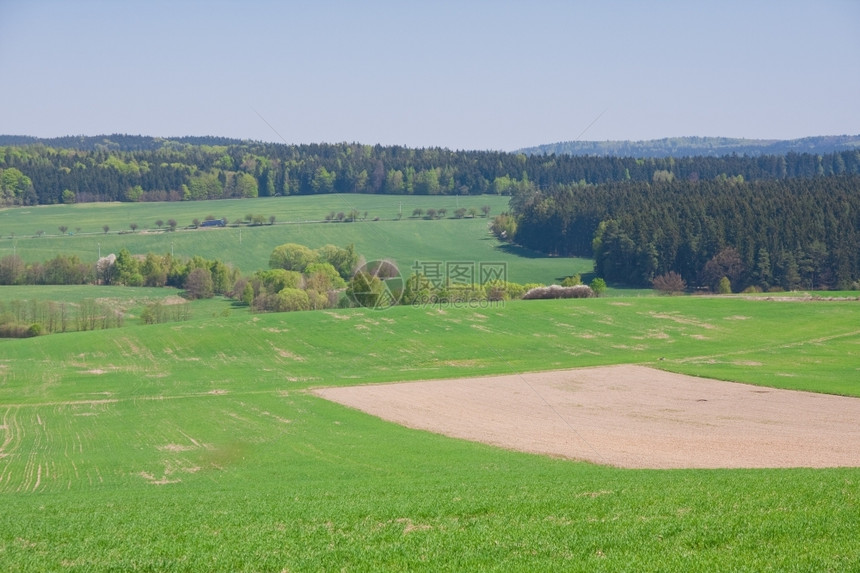 春天的绿色农田风景业乡村的图片