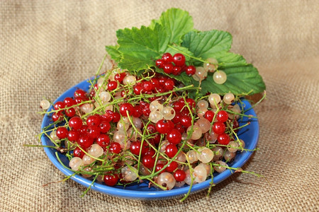 中间人棕色背景的红和白草莓夹在盘子上红色的生长背景图片