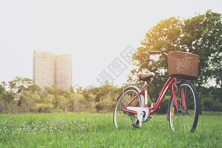 公园里的红色自行车森林孤单身的图片