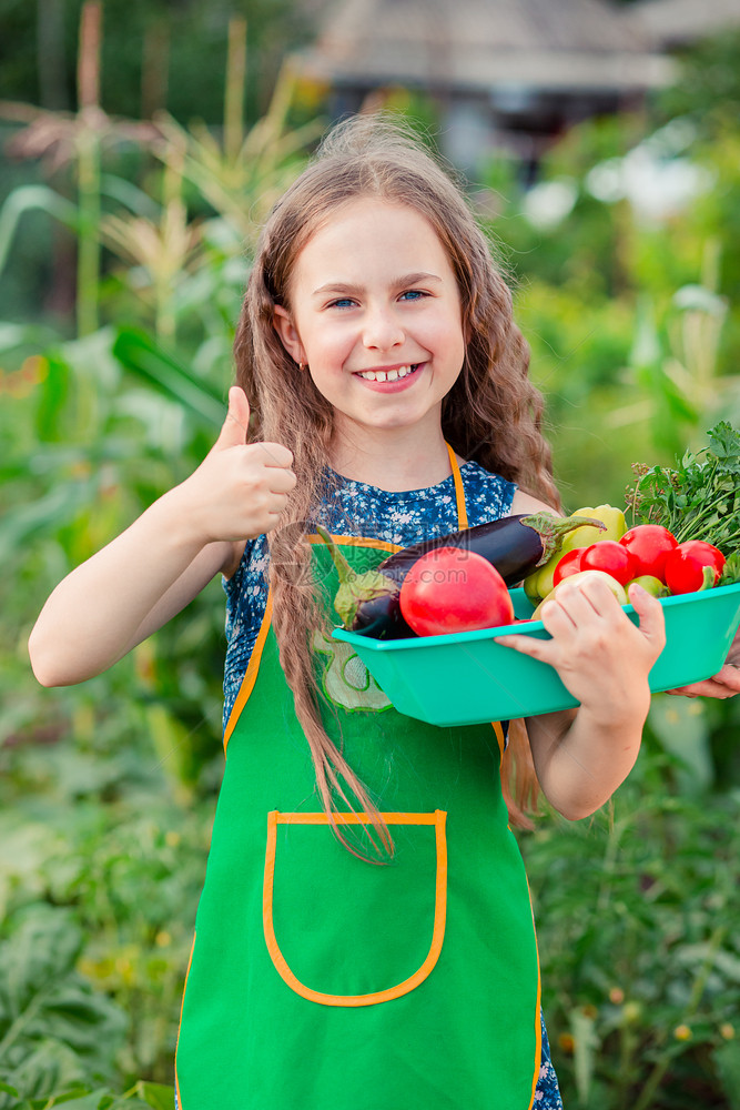 自然庄稼花园里可爱的小女孩带着一株成熟的蔬菜女孩在花园里收集了一株成熟的有机西红柿花园里可爱的小女孩带着一株成熟的蔬菜女孩在花园图片