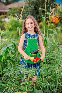 关心庄稼花园里可爱的小女孩带着一株成熟的蔬菜女孩在花园里收集了一株成熟的有机西红柿花园里可爱的小女孩带着一株成熟的蔬菜女孩在花园营养高清图片素材