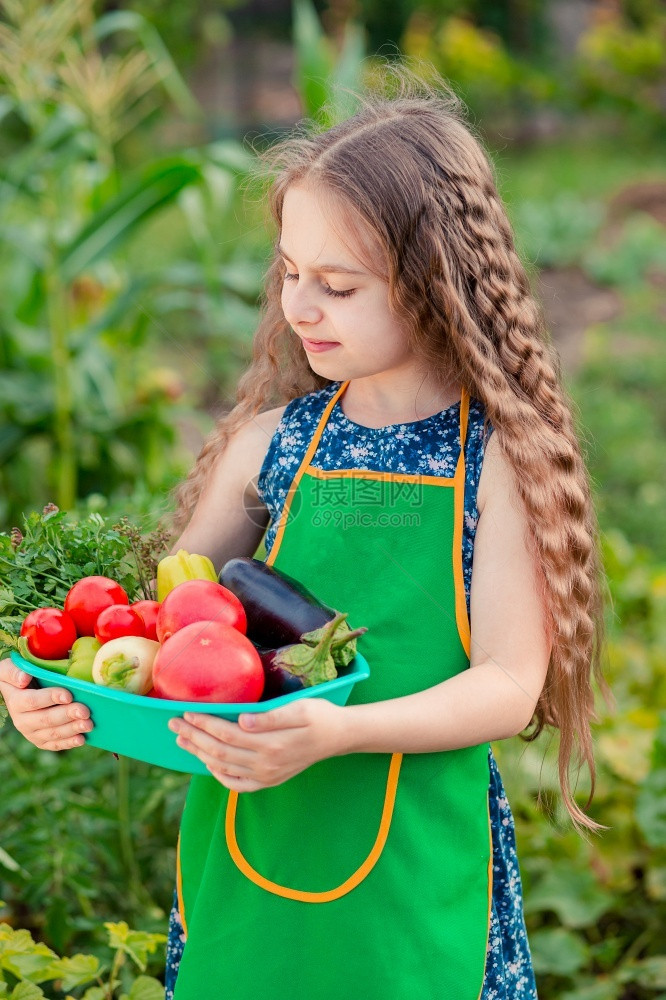 新鲜的采摘微笑花园里可爱的小女孩带着一株成熟的蔬菜女孩在花园里收集了一株成熟的有机西红柿花园里可爱的小女孩带着一株成熟的蔬菜女孩图片