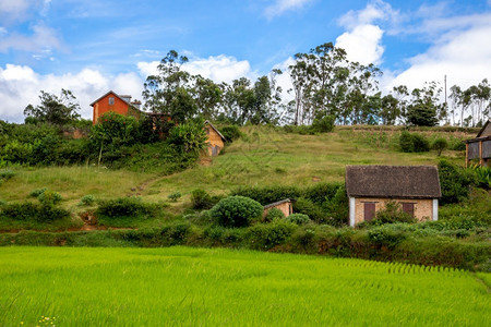 马达加斯岛上美丽风景的照马达加斯岛上美丽风景的照乡村农国民环境高清图片素材