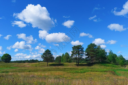 自然美丽的夏月风景有天空云草和森林牧场清除季节高清图片素材