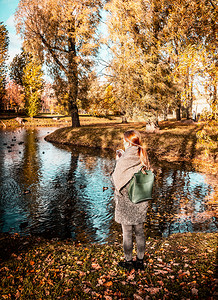 秋天风景黄树一个女孩站在公园湖边的岸上支撑户外夏天图片