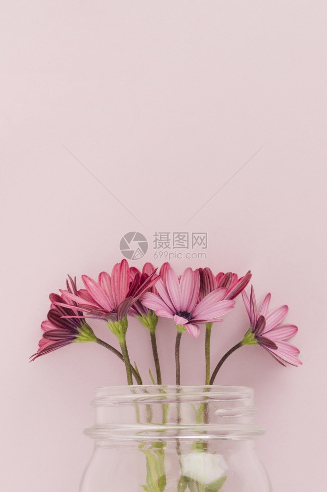 玻璃罐中的粉红花朵高分辨率照片玻璃罐中的粉红花菊架子夏天颜色图片