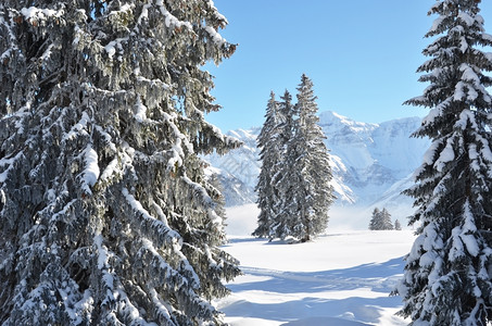 冬季雪景风光图片