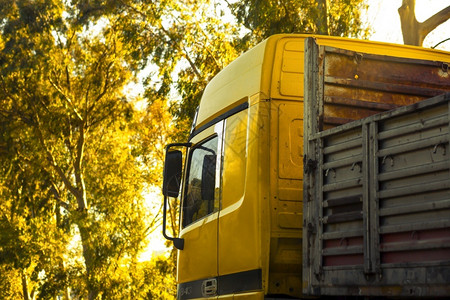 商业黄树叶和色卡车季节递送图片