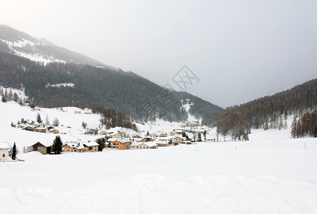 树瑞士西部一个雪覆盖的山村位于瑞士西部高山白雪皑图片