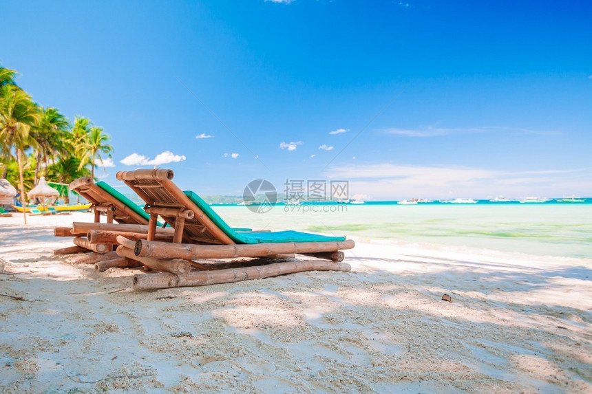 棕榈树下的沙滩椅图片