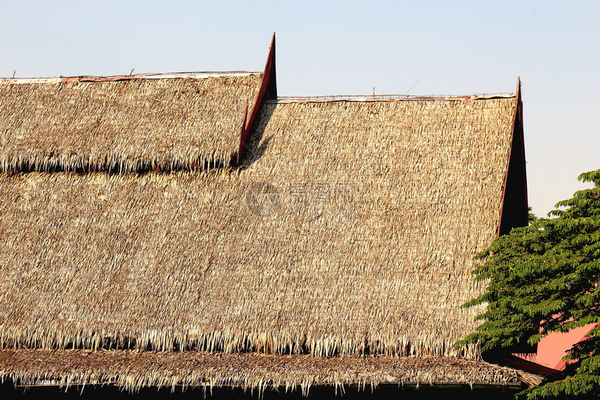 优质的自然高尖屋顶泰文风格的树叶草分支机构图片