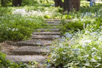 岩石公园的路一个园里的花朵和草地长得越茂盛园艺植物学图片