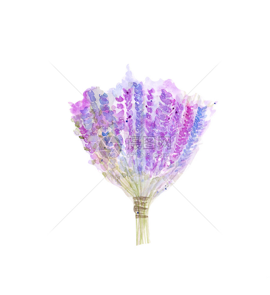 铅笔假期在孤立的背景下亲手绘制水彩色花束朵的布素描图片