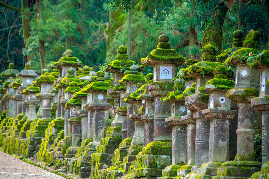 日本在朝的光神庙灯笼吸引力社古老的图片