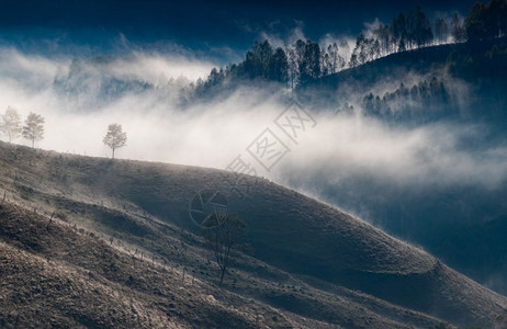 旅行风景美丽的初秋自然的山上本底雾林场景图片