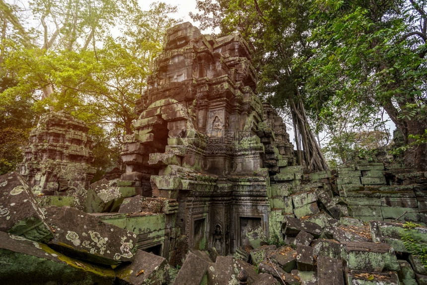 古老的废墟柬埔寨西姆庄园的PrasatTaprohm古老寺庙亚洲图片