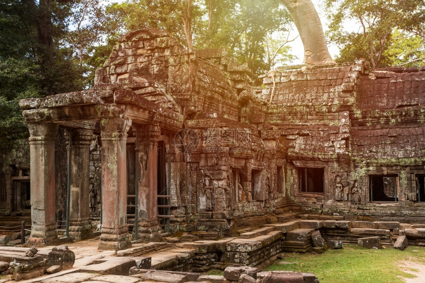 历史吴哥著名的柬埔寨西姆庄园的PrasatTaprohm古老寺庙图片