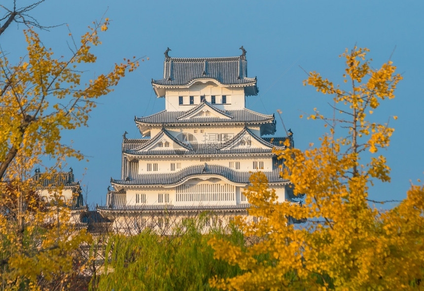 全景日本喜济寺秋季的地城堡观景市黄色的图片