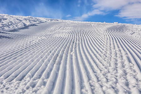 冬季雪地风光图片