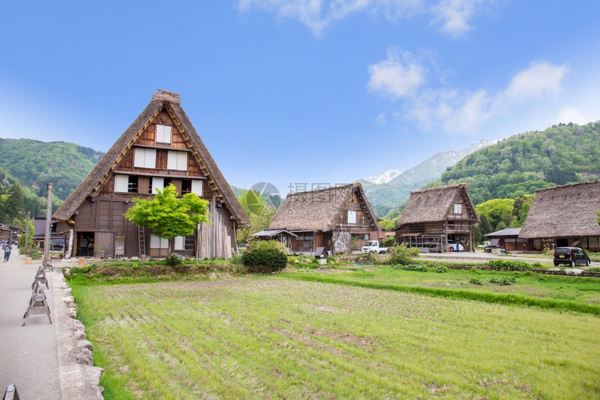 日本历史悠久的村春季白川地日本的旅行里程碑建造世界筑学图片