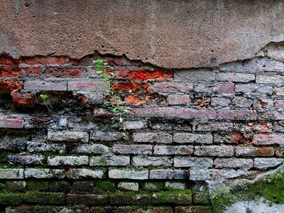 旧砖墙干净的石膏风化图片