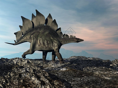古生物学家步行日落时在山上走的龙3D渲染在山上行走的龙渲染动物蕨类设计图片